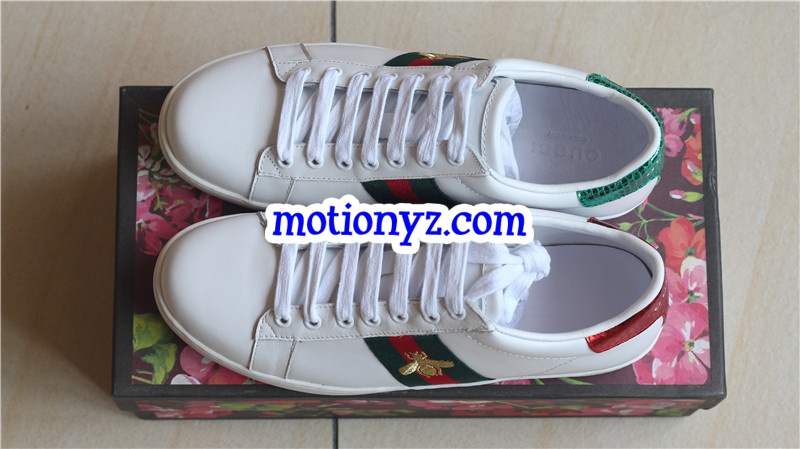 Ace Embroidered Sneaker Low Top